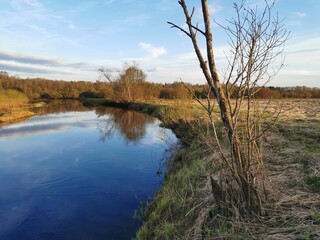 spring road through the field to the river