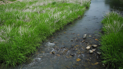 Obraz premium 시골 하천