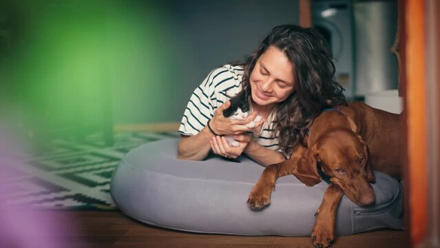 A cheerful young woman is playing with a tiny kitten while lying on a big pillow next to a big dog in the living room.