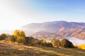 Autumn landscape with fog in the mountains. Fir forest on the hills. Carpathians, Ukraine, Europe