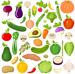 Set of different fresh vegetables