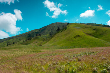 View of beautiful savanna and hill at Bromo Mountain Area with blue cloudy sky background