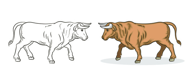 Large wild animal buffalo, black and white and color image.
 Coloring book for children. Vector drawing.