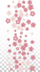 Vector Realistic Pink Flowers Falling on Transparent Background.  Spring Romantic Flowers Illustration. Flying Petals. Sakura Spa Design. Blossom Confetti. Design Elements for Wedding Decoration.