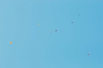 A group of parachutists in a clear sky with colored bright parachutes.