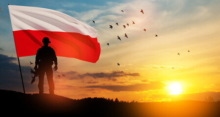 Silhouette of soldier with national flag on background of sunset. Polish Armed Forces. Armed Forces...