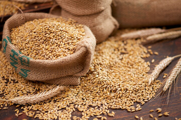 barley grain on the wooden background