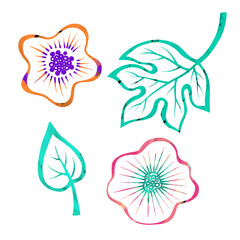 Fototapeta na wymiar Colorful Set of flowers and leaves in hand drawn sketch style. Line art. Ink drawing. Botany elements. Isolated on white.
