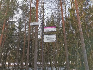 Spring in Pavlovsky Park white snow and cold trees
