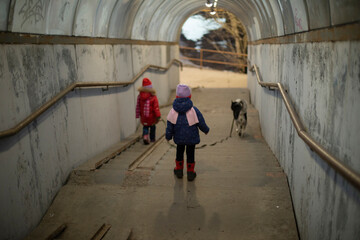 Fototapeta na wymiar Two children walk through tunnel. Children walk dog in city. Two girls of preschool age.