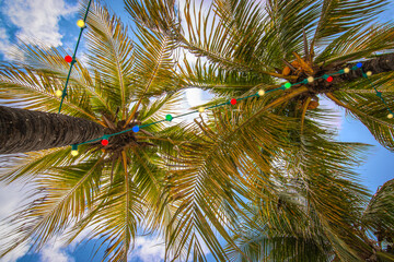 Coconut palm trees decorated with colorful party lights. 