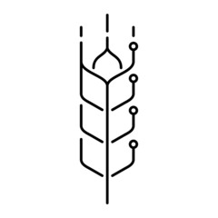 Agriculture technology line icon. Wheat and circuit board elements. Modern farming. Efficient food production. IT application in plant cultivation. Grain growing. Vector illustration, flat, clip art. 