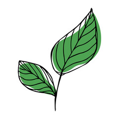 Vector lemon leaves clipart. Hand drawn plant illustration. For print, web, design, decor, logo.
