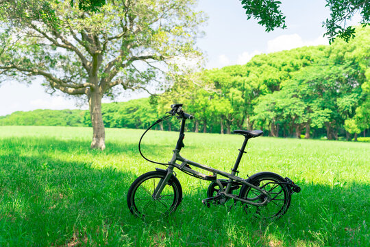 草原の中の小径自転車　ミニベロ　折りたたみ自転車