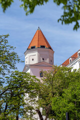 Fototapeta na wymiar Bratislava castle on a sunny spring day