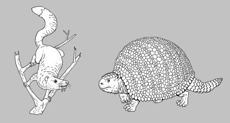 Prehistoric animals - sabertooth squirrel and glyptodon. Drawing with extinct mammals. Silhouette drawing for coloring book.