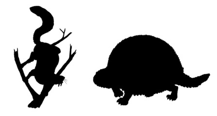 Prehistoric animals - sabertooth squirrel and glyptodon. Drawing with extinct mammals. Silhouette drawing.