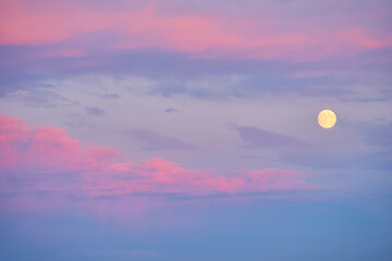 Fototapeta premium Full moon rising during spring evening with blue sky.