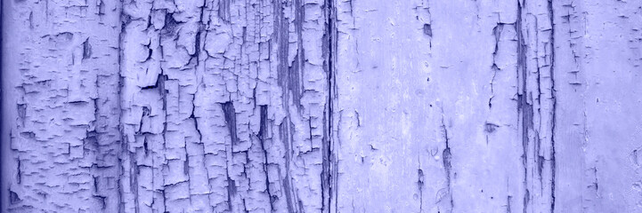 The cracked wooden wall in trendy purple color for creative desing baclground. banner copy space