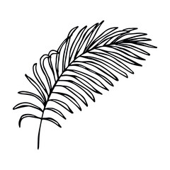 Simple tropical leaf illustration. Hand drawn vector clipart. Botanical doodle for print, web, design, decor, logo.