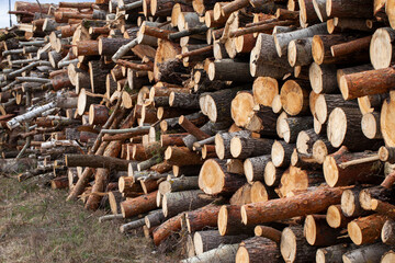 hardwood logging for industrial processing and production