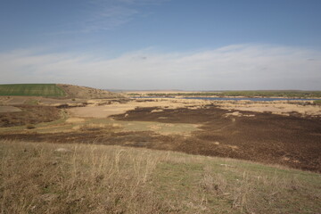 burned Danube Delta in spring in Parches, Tulcea, Romania