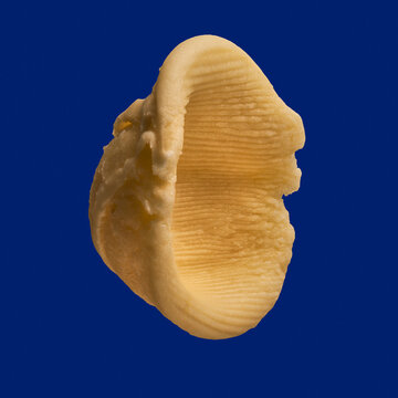 Close up textured Orecchiette pasta noodle on blue background
