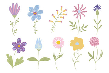 A set of flowers drawn by hand. vector illustration