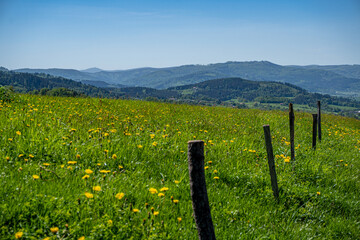 Czechy, Karpaty, Beskid Śląsko-Morawski, panorama widok z Beskidu Śląskiego wiosna