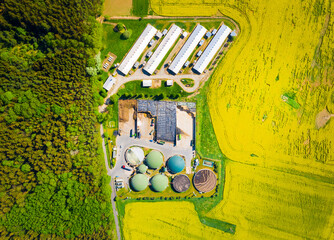 Biogas plant and farm in blooming rapeseed fields. Renewable energy from biomass. Aerial view to modern agriculture in Czech Republic and European Union.	 - 506593912