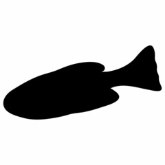 Fish Black Silhouette Illustration Isolated on White Background.