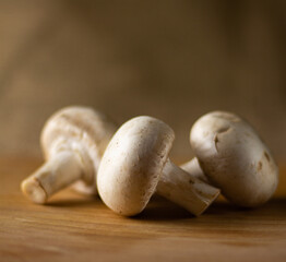 Whole raw fresh white champignon mushrooms