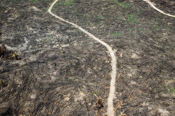 Deforestation of the Amazon rainforest. Patch of forest burnt to the ground. Environment, ecology, climate concepts.