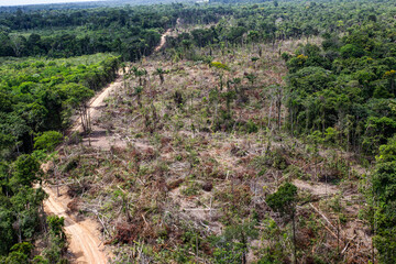 Deforestation of the Amazon rainforest. Patch of forest in the process of being cleared of vegetation. Environment, ecology, climate concepts. © Brarymi