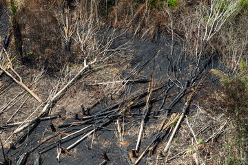 Deforestation of the Amazon rainforest. Patch of forest burnt to the ground. Environment, ecology, climate concepts.