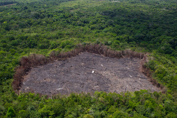 Deforestation of the Amazon rainforest. Patch of forest burnt to the ground. Environment, ecology, climate concepts.