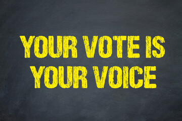 Your Vote is your Voice