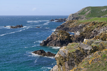 Spring on the coast of Great Saltee Island in Ireland.