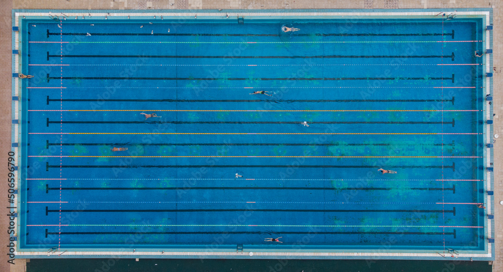 Wall mural Aerial view of group of swimmers training in swimming pool. Many sportive people swim in Open Water Swimming pool.