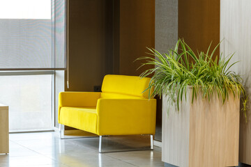 Yellow armchair in the hallway, modern design with stylish furniture in the office.