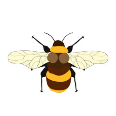 Cartoon bee mascot. A small bees flies. Wasp collection. Vector characters. Incest icon. Template design for invitation, cards. Doodle style