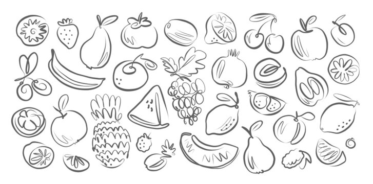 Fruits and Berries hand drawn doodles. Sketch style collection. Organic food, vegan, farm vector illustration