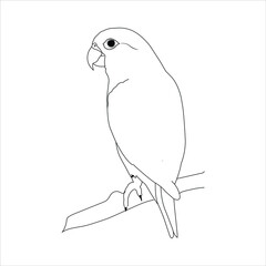Parrot cartoon coloring book vector illustration macaw parrot ara illustration coloring page