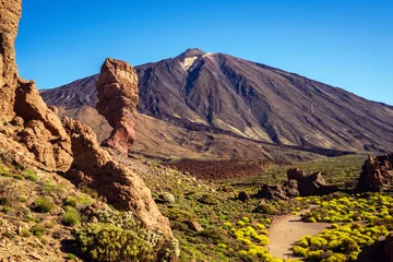Foto op Canvas La mejor vista del pico del Teide desde los Roques de García, en el Parque Nacional del Teide, Tenerife, Islas Canarias, España © inigolaitxu