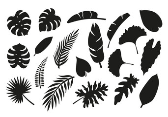 Silhouettes of tropical leaves. Set of black vector silhouettes on white background