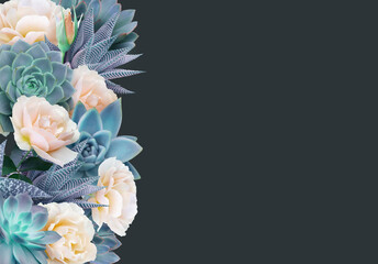 Floral banner, header with copy space. Succulents and roses isolated on dark blue background. Natural flowers wallpaper or greeting card.