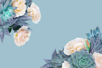 Floral banner, header with copy space. Succulents and roses isolated on light blue background. Natural flowers wallpaper or greeting card.