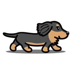 ミニチュアダックスフンド 歩く