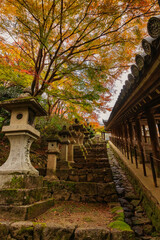 秋の長谷寺(奈良県桜井市)