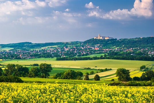 Pannonhalma Archabbey with canola, rapeseed field in Transdanubia, Hungary